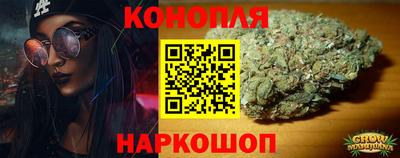 прущие грибы Канаш